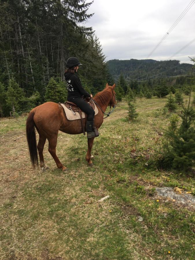 Villa Maple Heart Ranch Shawnigan Lake Esterno foto