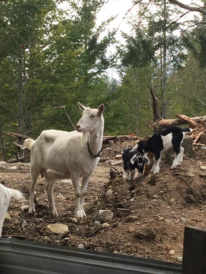 Villa Maple Heart Ranch Shawnigan Lake Esterno foto